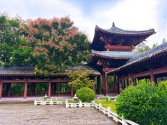 -祥源·阜阳生态乐园