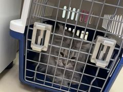 -宠福鑫动物医院(城北分院)