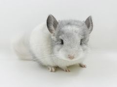 -龙猫仔乐园(惠福东路店)