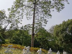 -云溪植物园