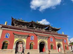 -塔尔寺菩提树