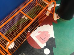 -杯欢制茶(三里屯店)