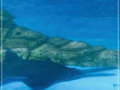 -厦门海底世界