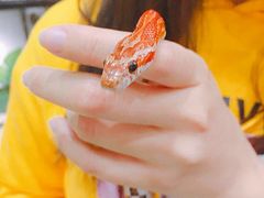 -藦茜花园宠物主题亲子互动体验馆(国顺东路店)