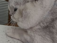 -心仪动物医院·牙专科·肿瘤·心脏科(西客站院)