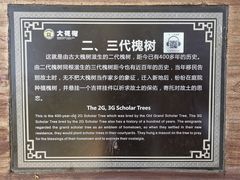 -大槐树寻根祭祖园