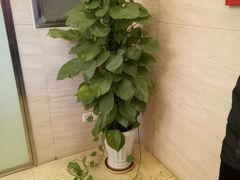 -中国工商银行(上海市金沙江路支行)