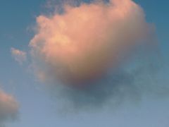 -新江湾城公园