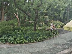-绿野餐厅(上海动物园店)