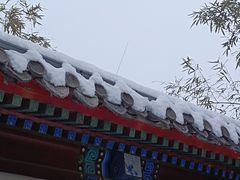 -月坛公园
