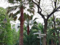 -苏州河梦清园环保主题公园