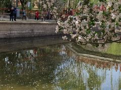 -海棠花溪(元大都城垣遗址公园)