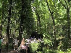 -波尔登森林公园