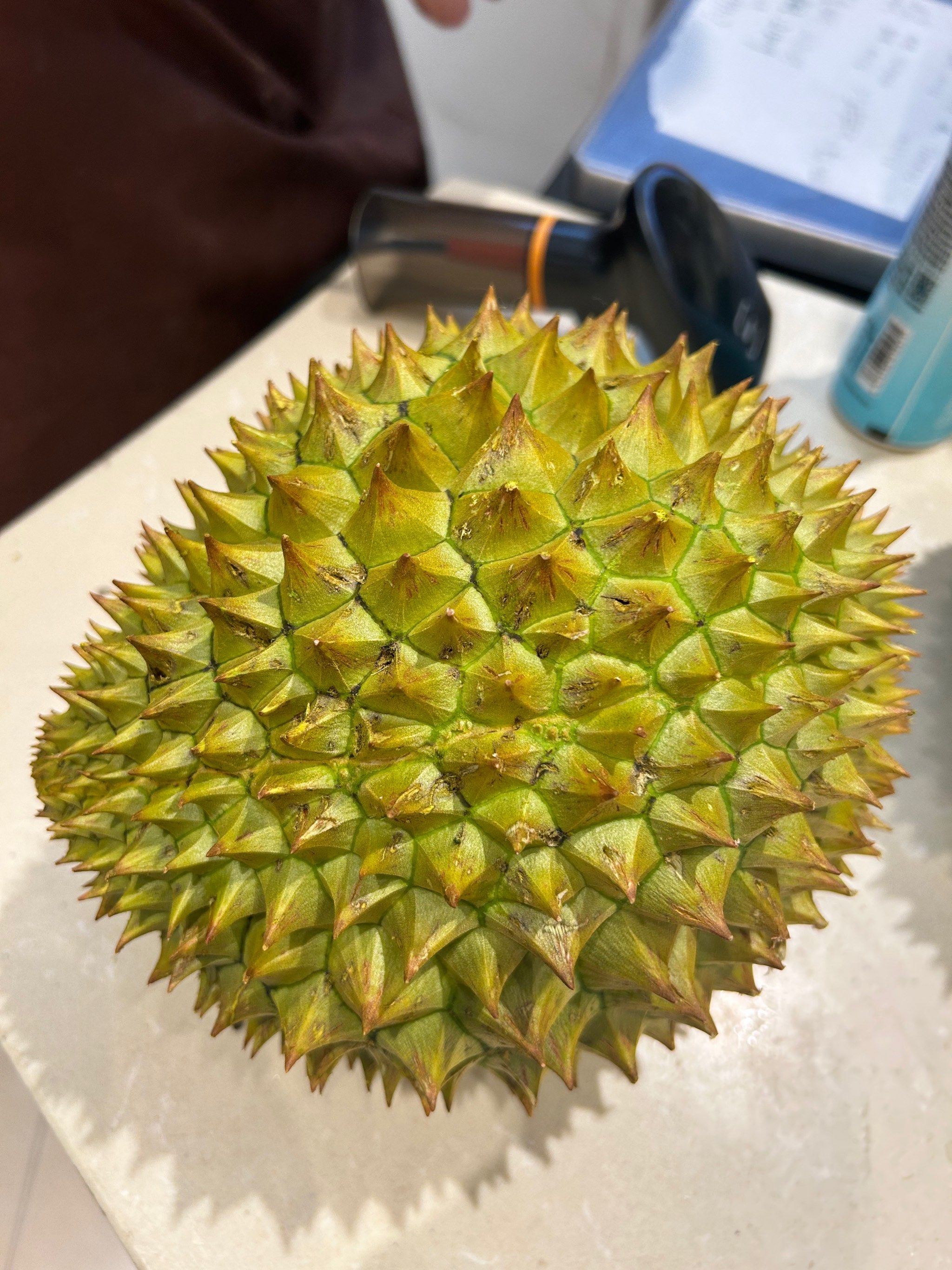 小小金腰 出肉率还可以 这就是传说中的报恩榴莲嘛?