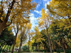 -苏州河梦清园环保主题公园