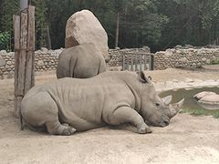 -北京野生动物园