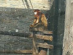 -石家庄市动物园