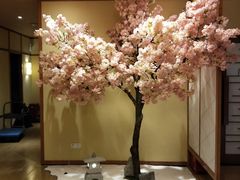 -汤泉良子(金源店)