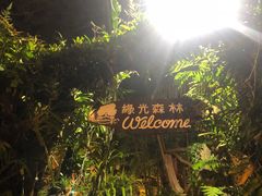 -绿光森林餐厅