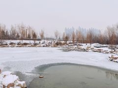 -伊犁河风景区