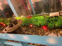 -丰茂烤串(金泉美食宫店)