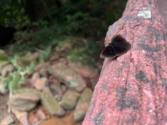 -赤水丹霞旅游区·佛光岩