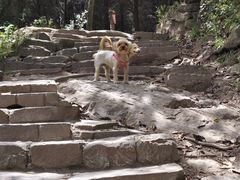 -金堂县云顶石城风景区