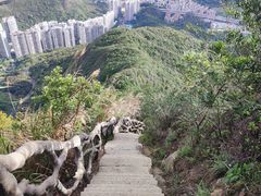 -梧桐山风景名胜区