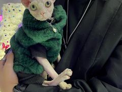 -极木²邸 人与宠物·互动社区