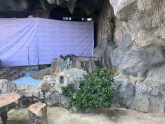 -加林娜泥浴水疗