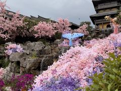 -茅山东方盐湖城景区