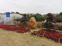 -怡海公园(桂城街道)
