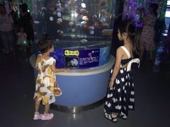 -石家庄海洋公园