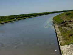 -春花秋色城市公园