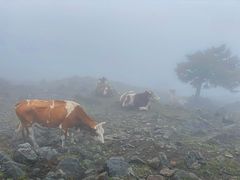 -灵山