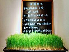-朵朵开素食餐厅(后宰门街店)