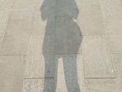 -羚羊峡古栈道森林公园