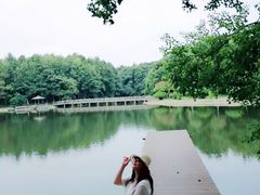 -象山森林公园