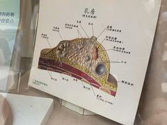 -上海交通大学医学院附属瑞金医院(总院)