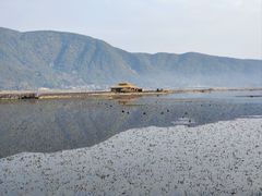-腾冲北海湿地