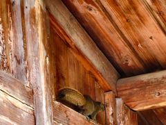 -福建鲤鱼洲酒店