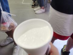 -洪馨椰子