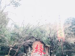 -杭州黄龙洞