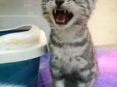 -乐宠宠物店(世纪金源店)