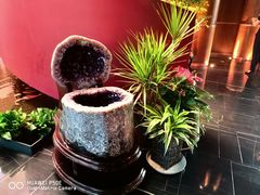 -鱼翅楼·津派砂锅鱼翅(水上公园店)