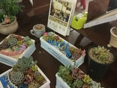 -北方图书城(沈阳天地店)