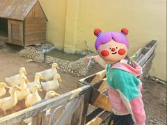 -HERRE·FARM 赫尔露营农场·团建聚会包场