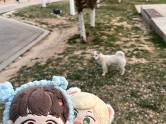 -汉长安城未央宫国家考古遗址公园