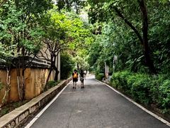 -云龙山