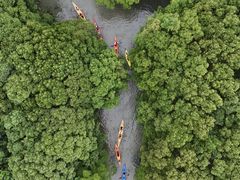 -动邦皮划艇·桨板·独木舟·团建户外运动俱乐部